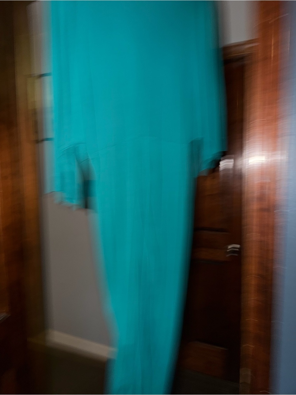 Teal V-Neck Dress - Picture 5 of 6
